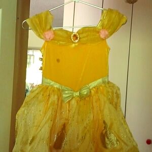 Disney princess gown
